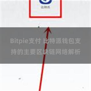 Bitpie支付 比特派钱包支持的主要区块链网络解析