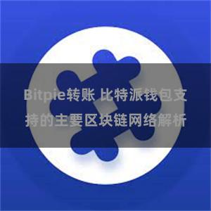 Bitpie转账 比特派钱包支持的主要区块链网络解析