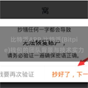 比特派APP 比特派(Bitpie)钱包的团队背景与技术实力