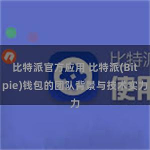 比特派官方应用 比特派(Bitpie)钱包的团队背景与技术实力