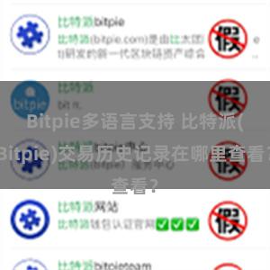 Bitpie多语言支持 比特派(Bitpie)交易历史记录在哪里查看？