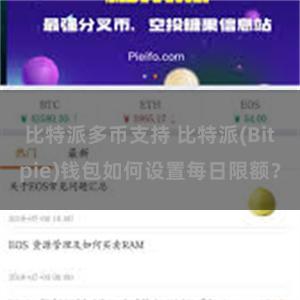 比特派多币支持 比特派(Bitpie)钱包如何设置每日限额？