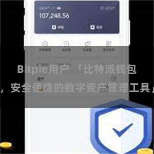 Bitpie用户 「比特派钱包，安全便捷的数字资产管理工具」