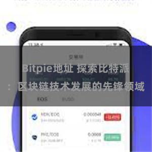 Bitpie地址 探索比特派：区块链技术发展的先锋领域