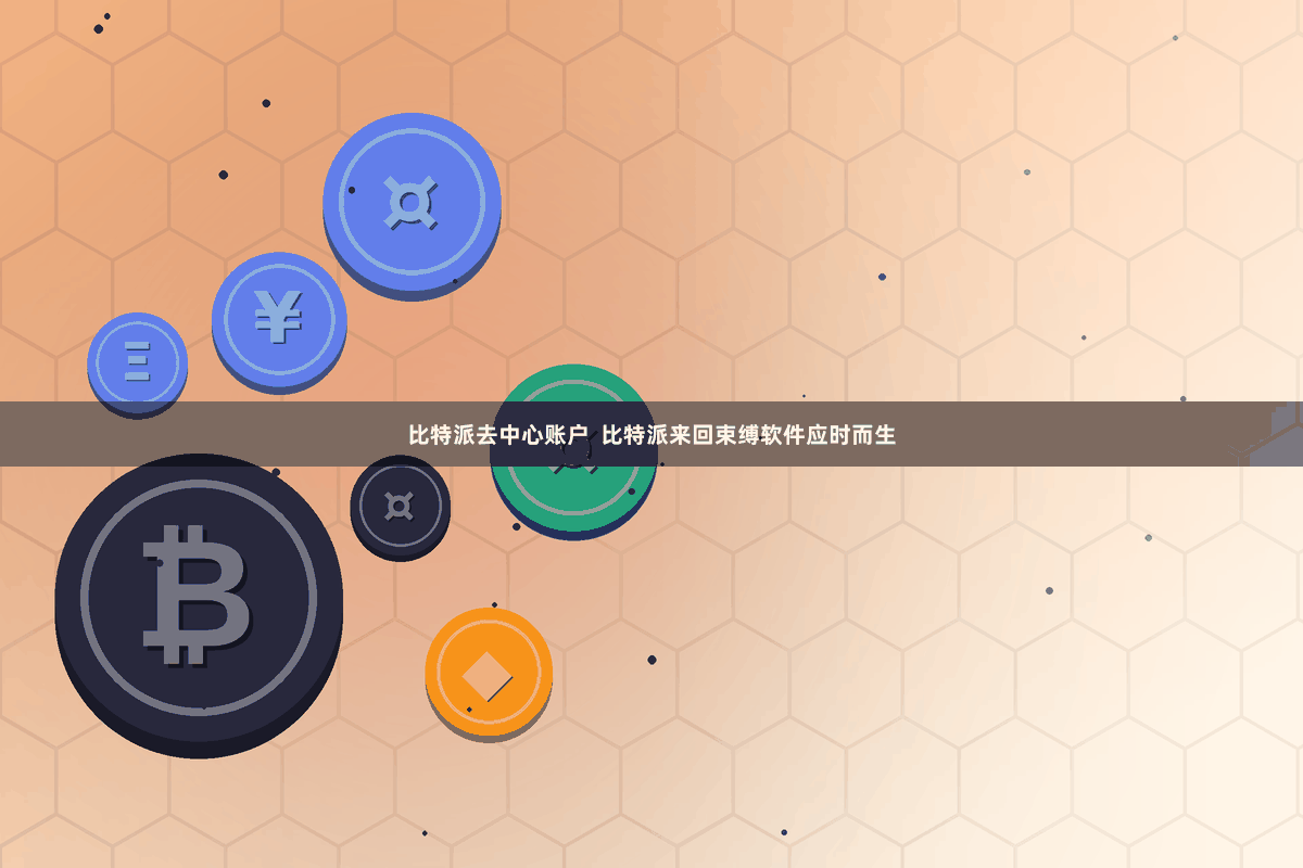 比特派去中心账户  比特派来回束缚软件应时而生